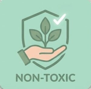 toys made of non toxic material for kids
