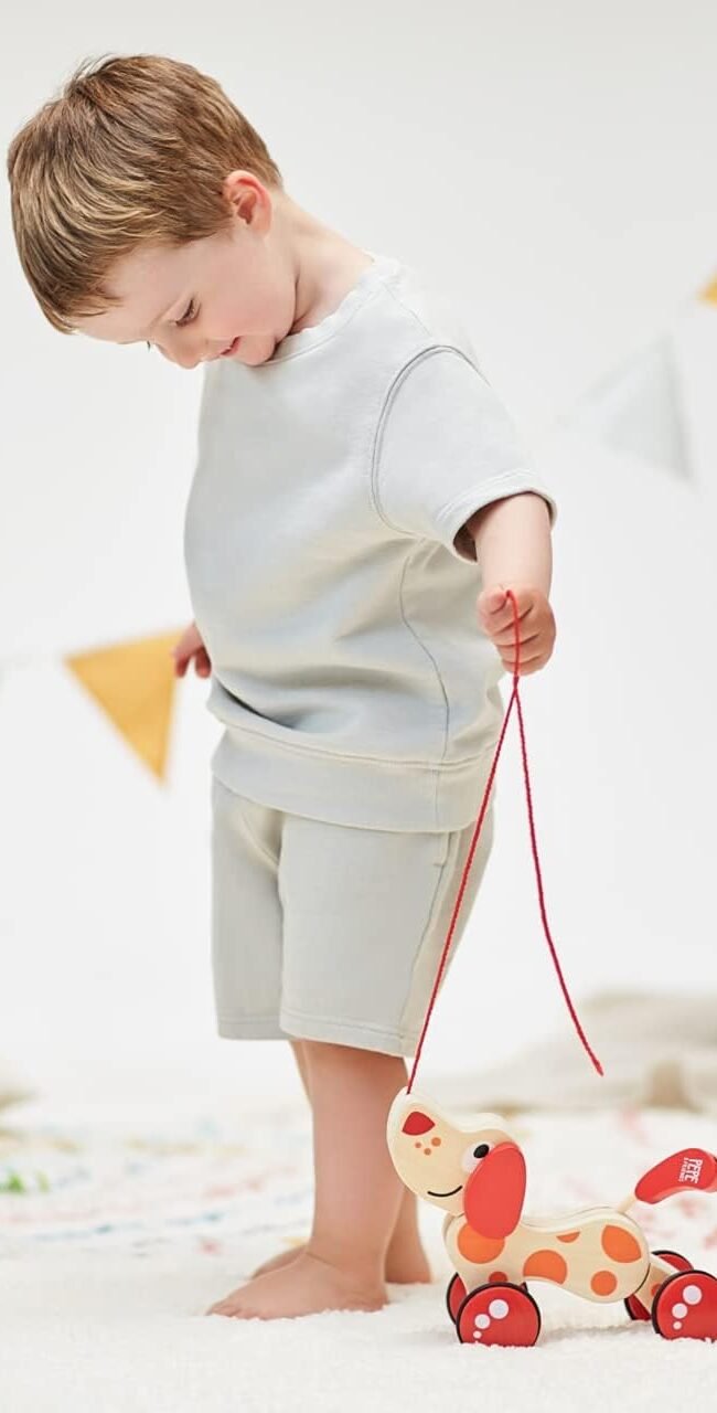 kid is playing with pull on puppy