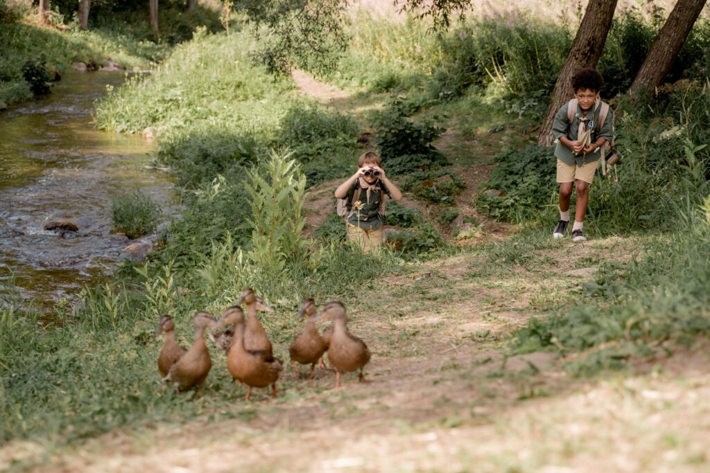 kids are on nature walk